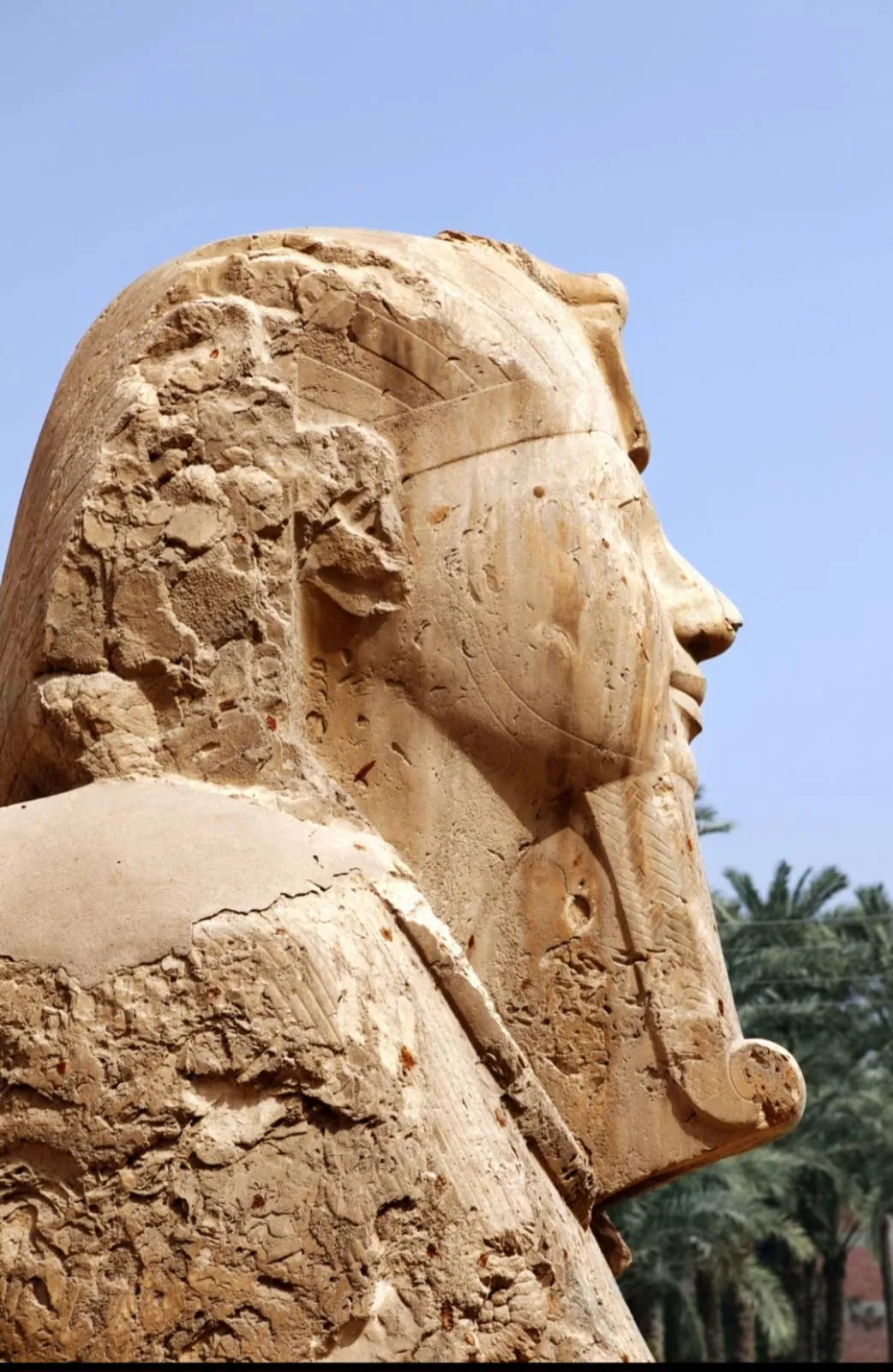 Memphis tour The Ancient Capital of Egypt /IMG-20260701-WA0065.jpg